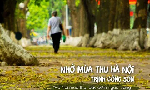 Hà Nội - Những khúc ca về mùa lá đổ